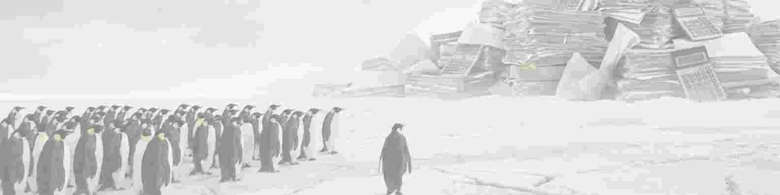 The Nihilist Penguin Is Lost, Not Brave, Just Like Students in Debt